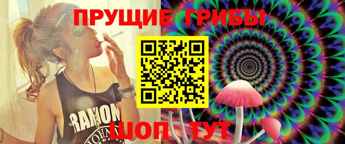 Псилоцибиновые грибы MAGIC MUSHROOMS Петрозаводск
